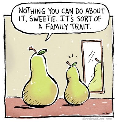 pear shapes looking at a mirror